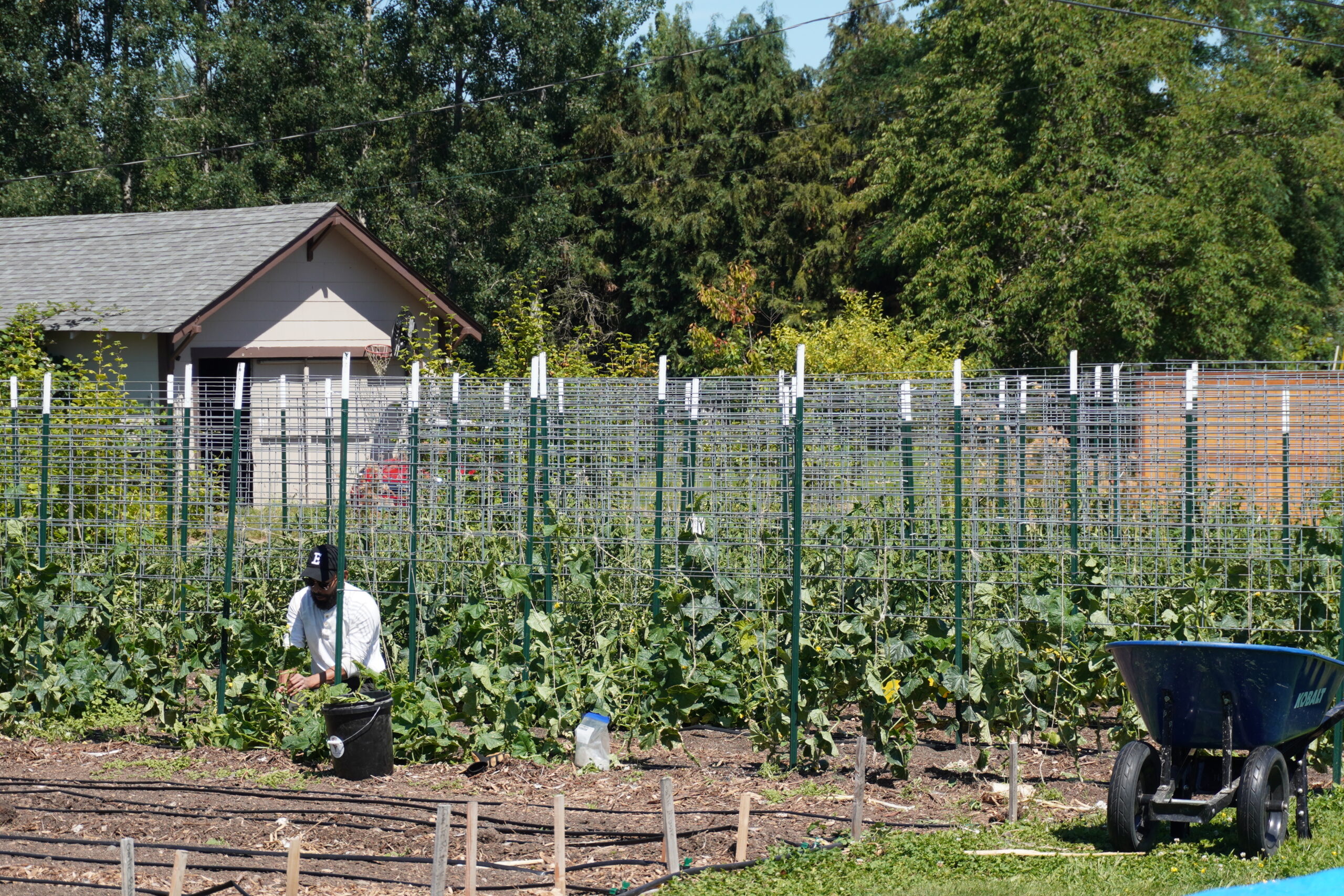 Rose Island Farm